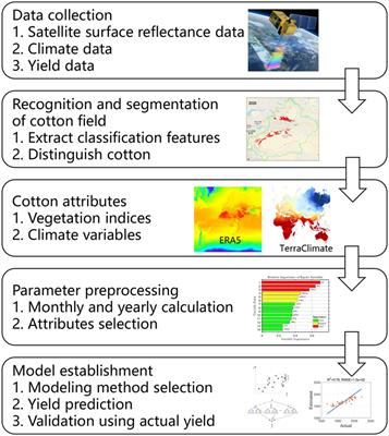 Integrating environmental and satellite data to estimate county-level cotton yield in Xinjiang Province